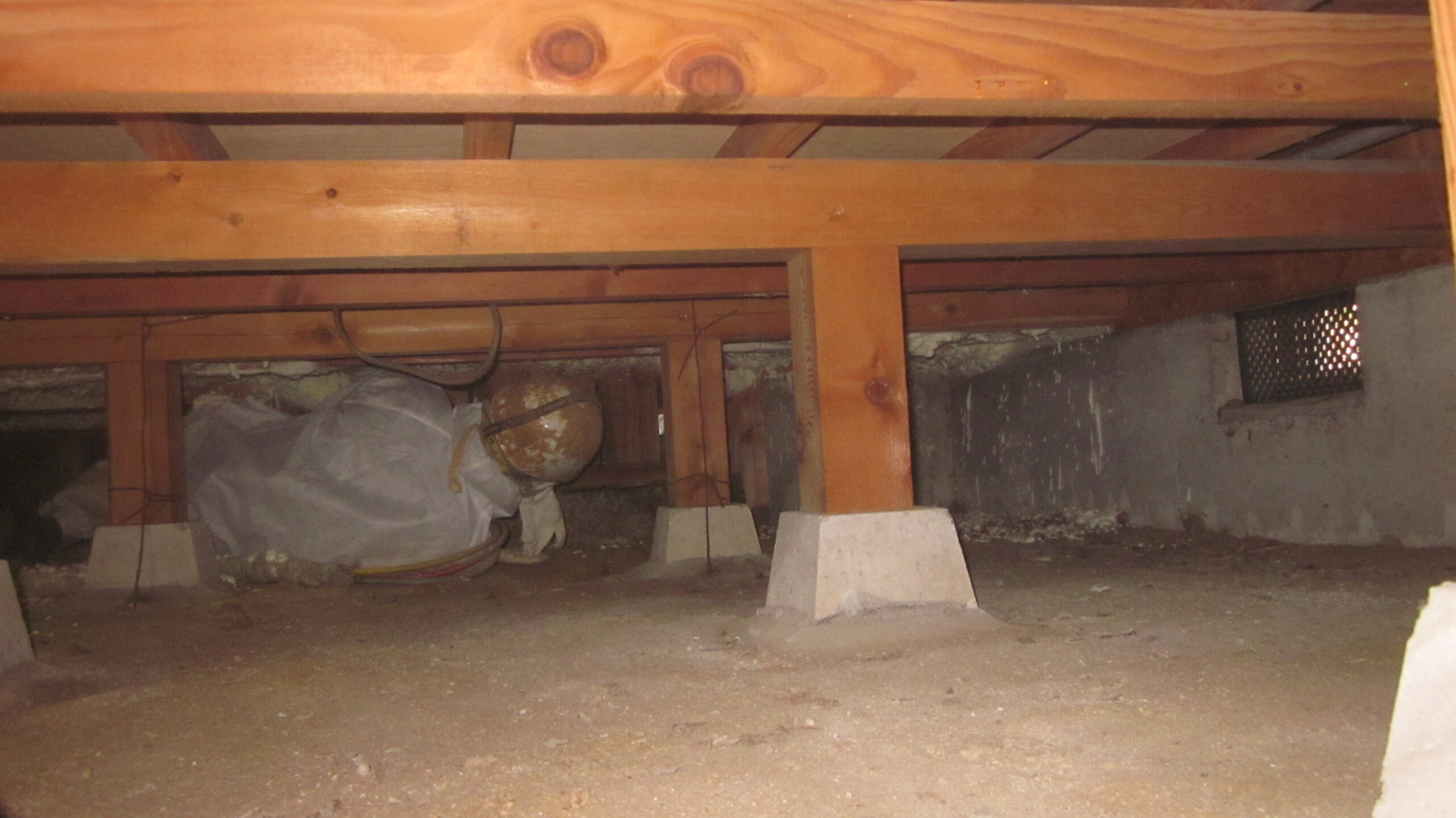 Before画像